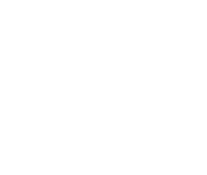 Fiat_professional_wit_logo
